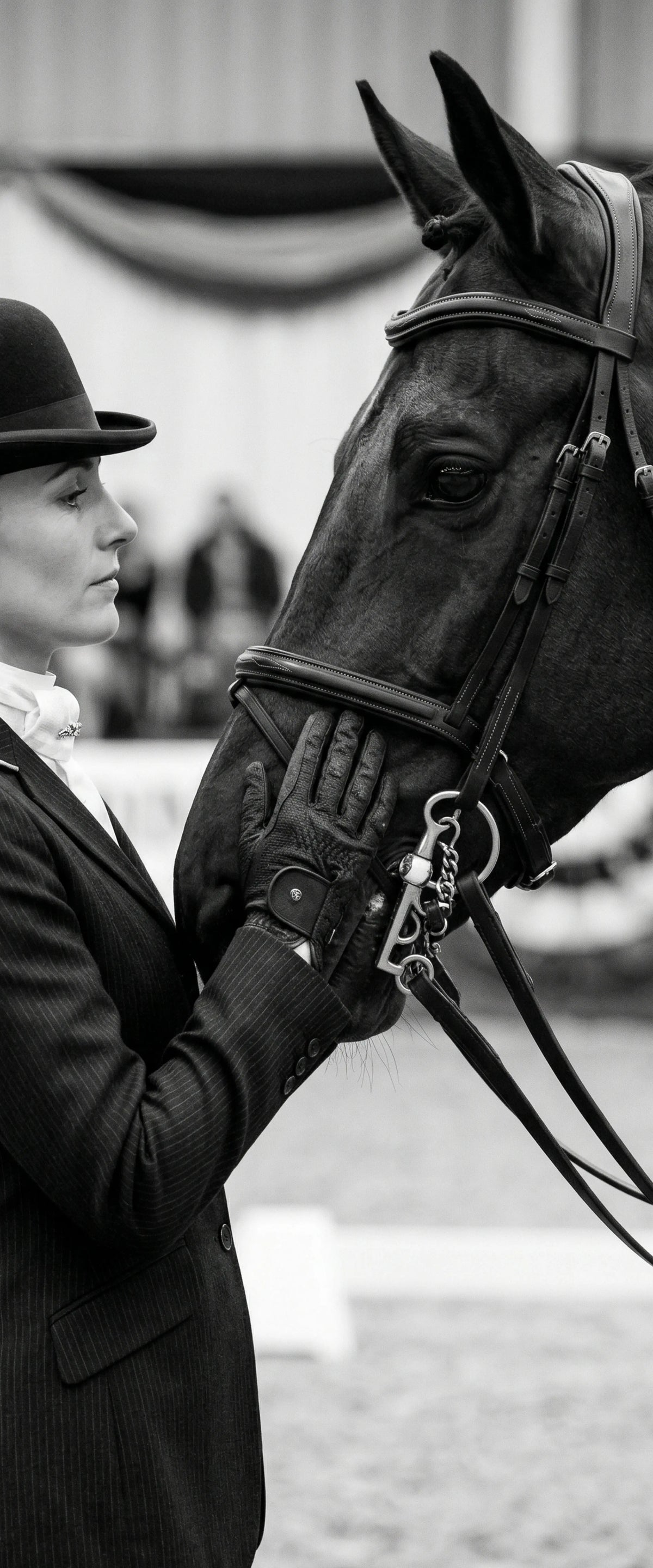 Banner Cavalière & horse | 75 x 180 cm