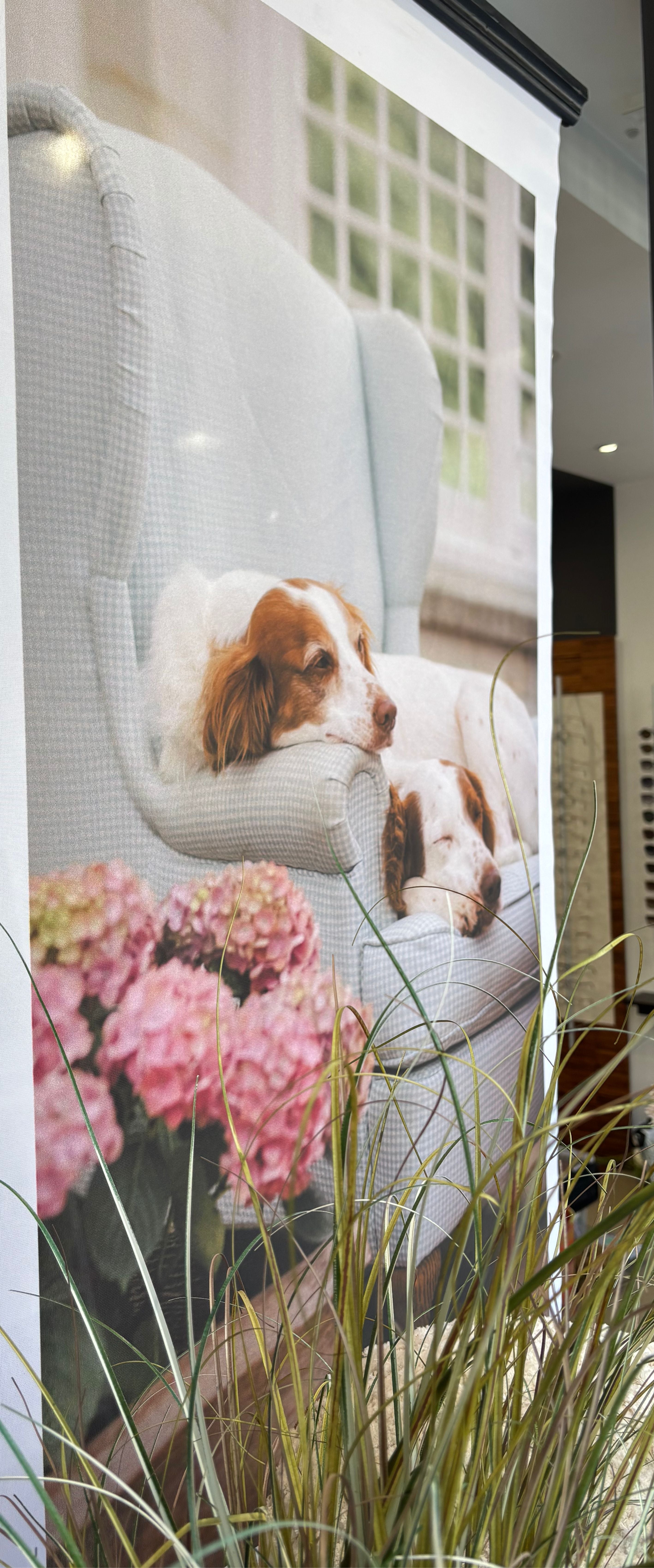 Banner Slow living - full - Mise en situation dans vitrine avec herbes de pampa